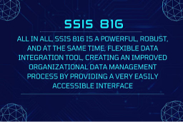 SSIS 816